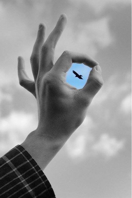 Hand gesture with a colourful cutout of a bird flying through the fingers